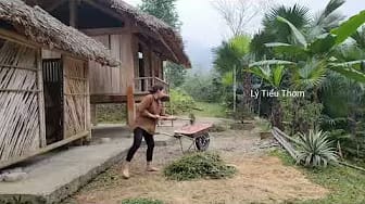 Post 8 by Triệu Thanh Tài on YouTube (video)