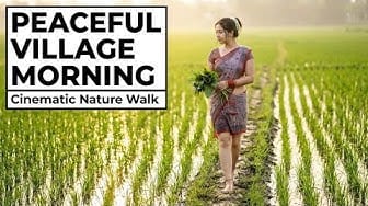 Post 4 by Peaceful Pathways on YouTube (video)