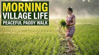 Post 9 by Peaceful Pathways on YouTube (video)