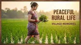 Post 8 by Peaceful Pathways on YouTube (video)