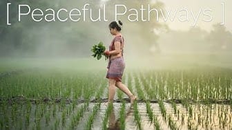 Post 1 by Peaceful Pathways on YouTube (video)