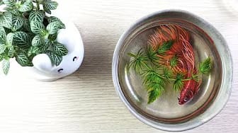 Post 7 by 3D Goldfish Art on YouTube (video)
