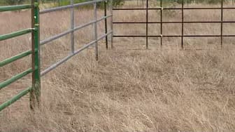 Post 2 by Enin Acres on YouTube (video)