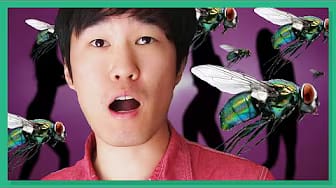 Post 3 by Premium Oppa on YouTube (video)