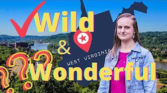Post 1 by Homesteading West Virginia on YouTube (video)