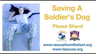 Post 1 by Rescue From The Hart on YouTube (video)