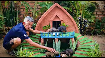 Post 5 by Rescue Pet House on YouTube (video)