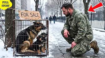 Post 2 by SEAL K9 Brotherhood on YouTube (video)
