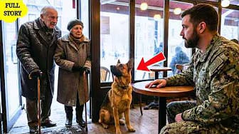 Post 1 by SEAL K9 Brotherhood on YouTube (video)