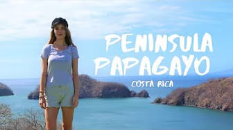 Post 4 by Vinette Schulze Montorfano on YouTube (video)