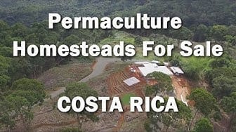 Post 8 by Natural Living Designs on YouTube (video)