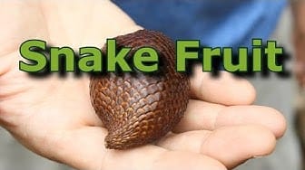Post 7 by Natural Living Designs on YouTube (video)
