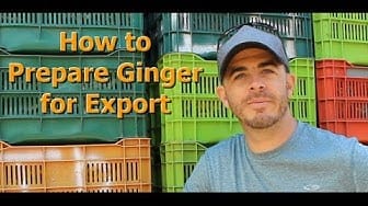 Post 1 by Natural Living Designs on YouTube (video)