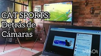 Post 8 by Cat Sports on YouTube (video)
