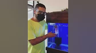 Post 9 by The Goldfish Co. on YouTube (video)