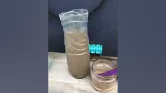 Post 4 by The Goldfish Co. on YouTube (video)