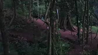 Post 9 by Shinobu Entsu on YouTube (video)