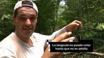 Post 2 by Costa Rica WOW! on YouTube (video)