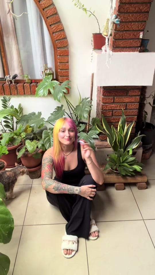 Post 6 by pinklightcr on TikTok (video)