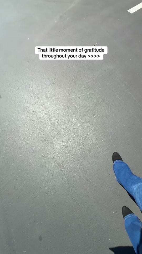 Post 9 by Mayra on TikTok (video)