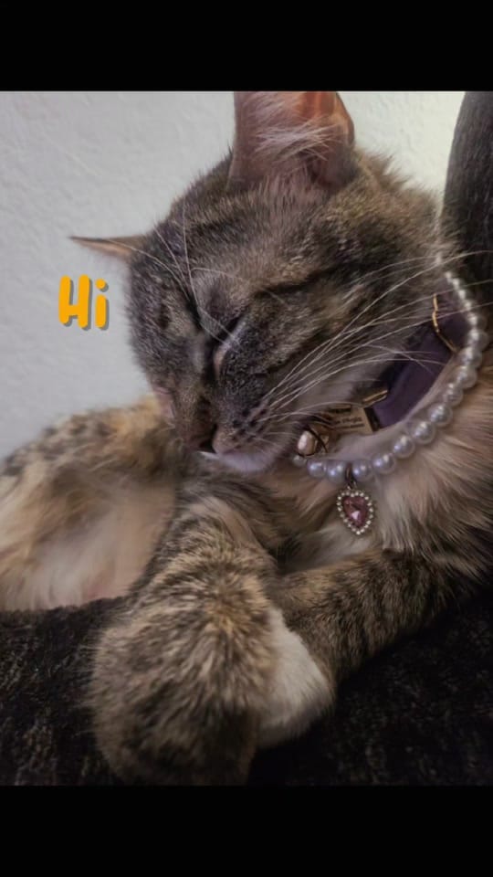 Post 7 by Tai Winning Style❌ on TikTok (video)