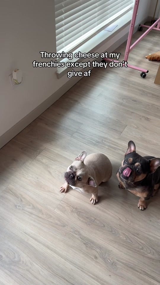 Post 4 by queennbriii on TikTok (video)