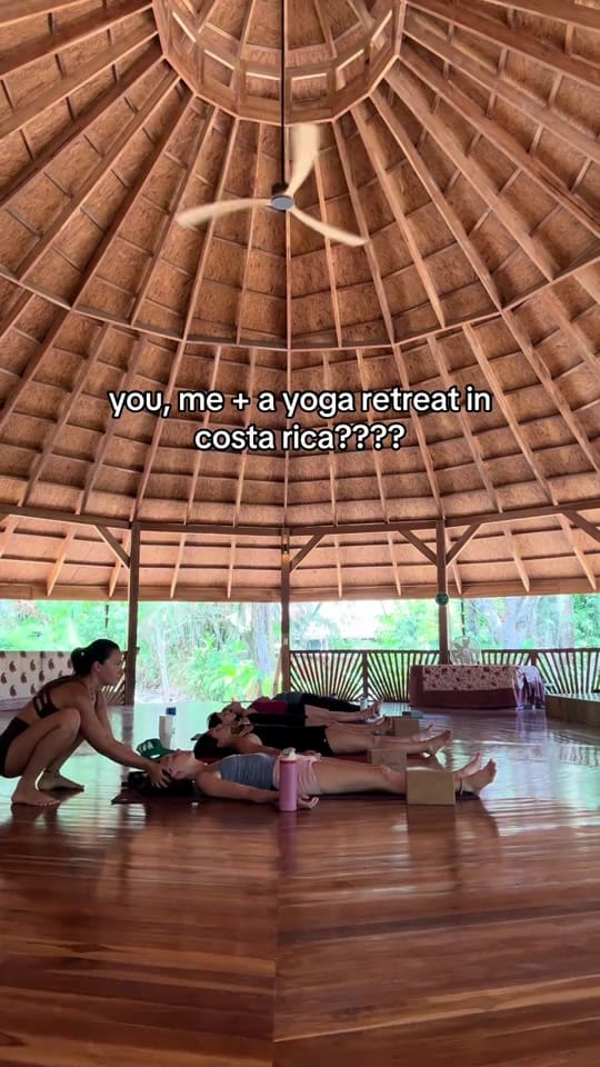 Post 4 by liz tripicco 🌺🐒🦋 on TikTok (video)