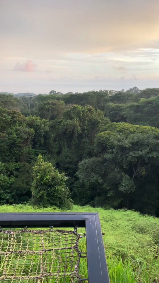 Post 4 by Caseymsteele on TikTok (video)