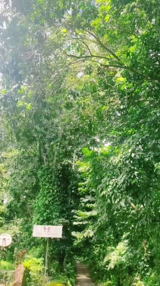 Post 5 by Caseymsteele on TikTok (video)