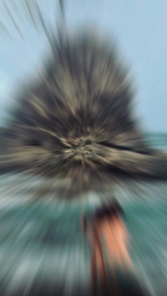 Post 1 by Shirojas on TikTok (video)