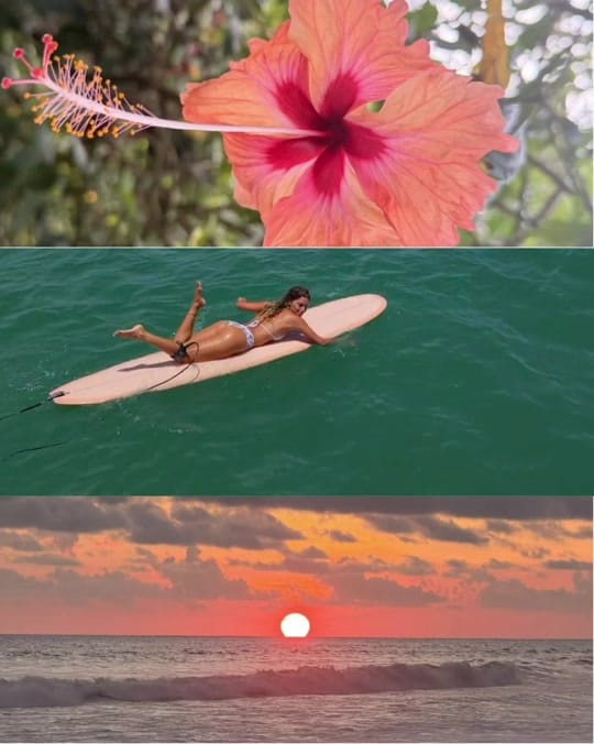 Post 7 by LEAH HESTER on TikTok (video)