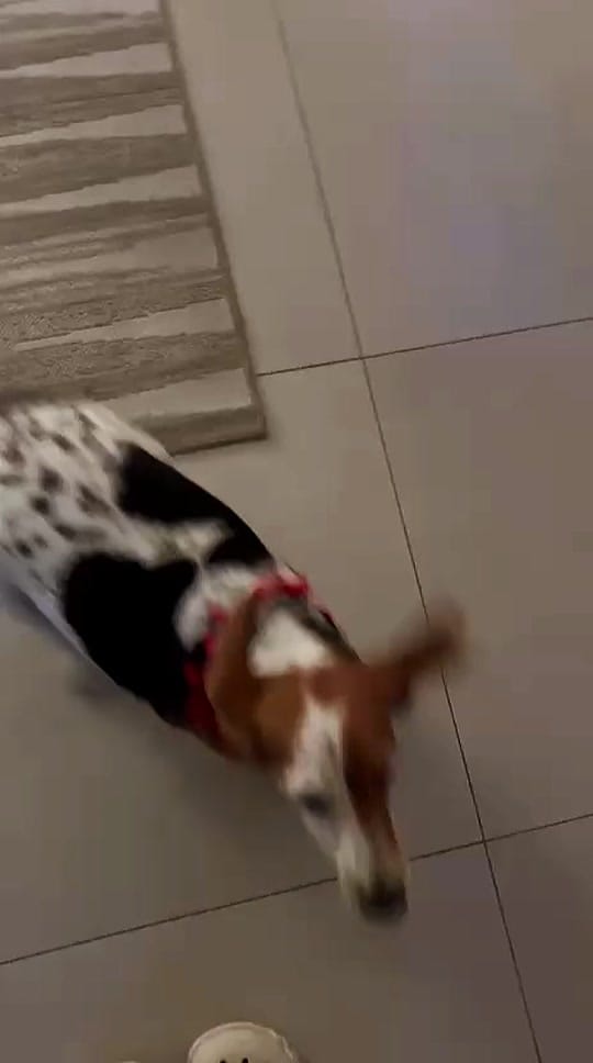 Post 1 by AthePVChef_ Private Chef on TikTok (video)