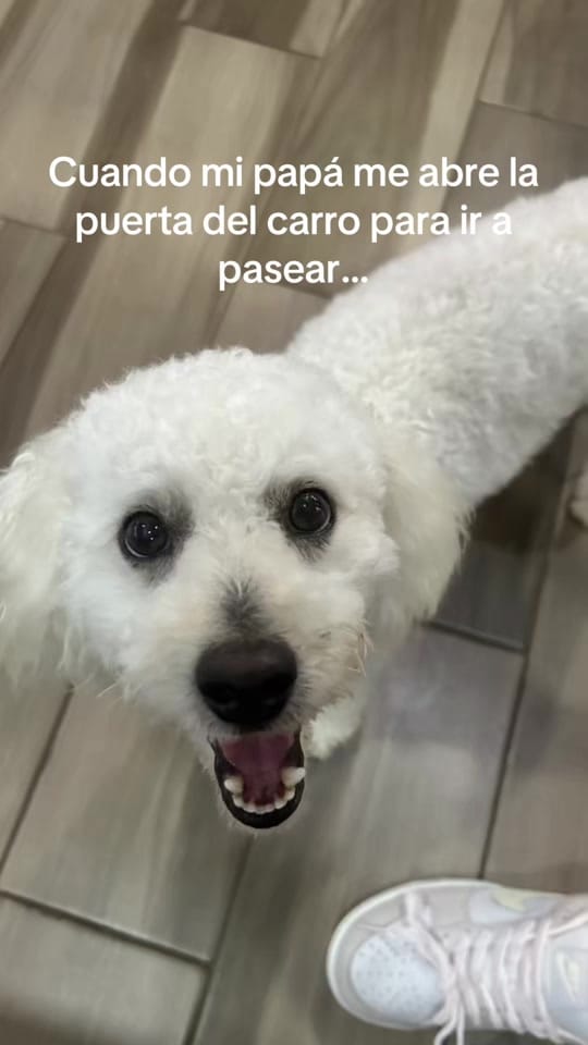 Post 4 by Scorpioqueen1496 on TikTok (video)