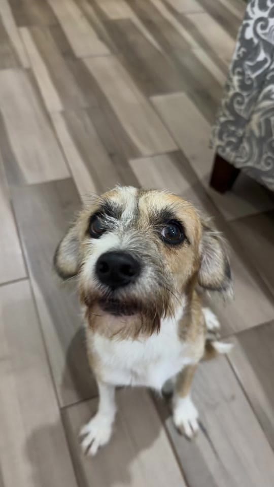Post 3 by Scorpioqueen1496 on TikTok (video)