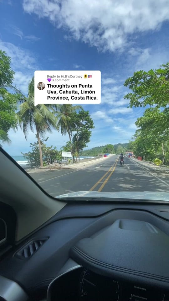 Post 7 by Vanessa Nic 🦋 on TikTok (video)