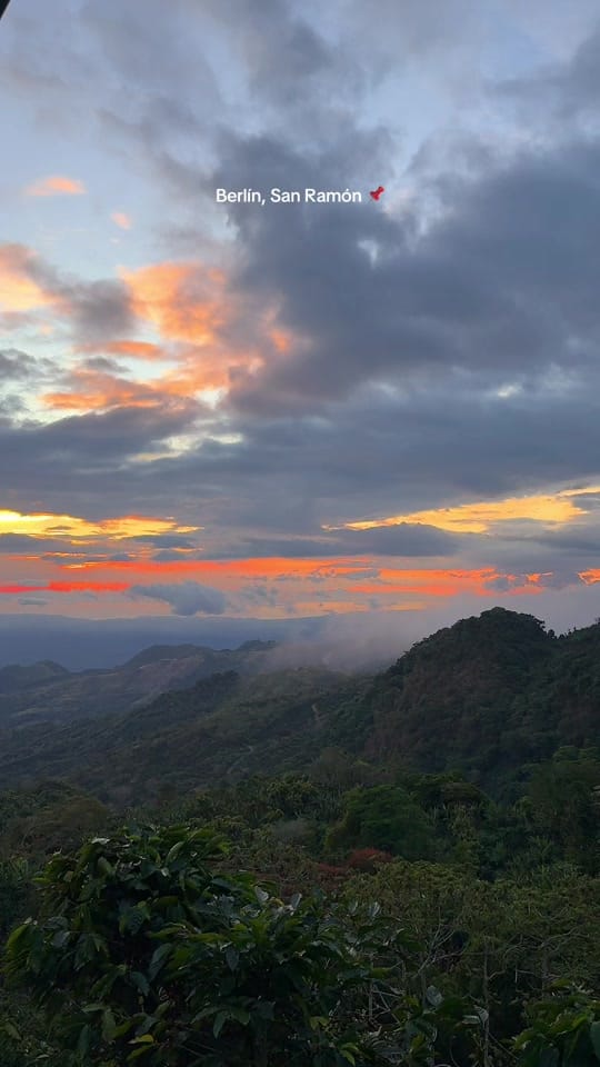 Post 6 by Nat Fernández on TikTok (video)