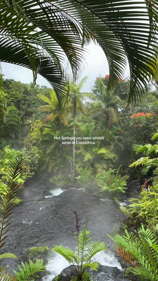 Post 9 by Nat Fernández on TikTok (video)