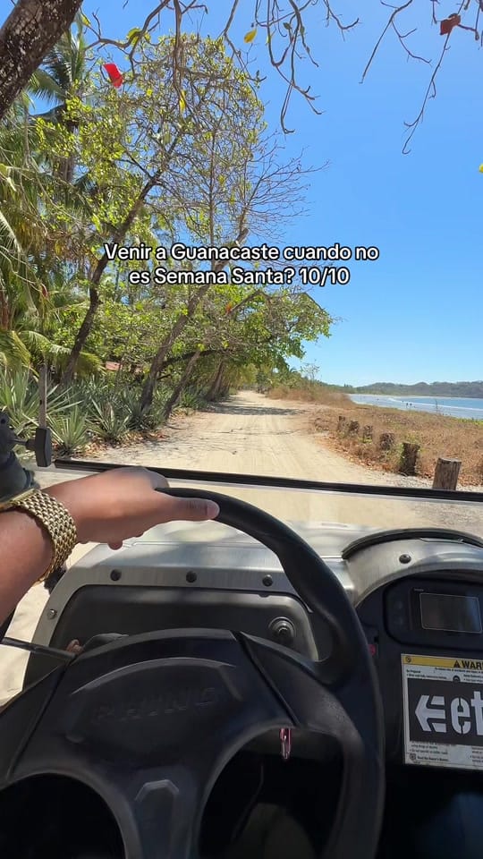 Post 7 by Nat Fernández on TikTok (video)