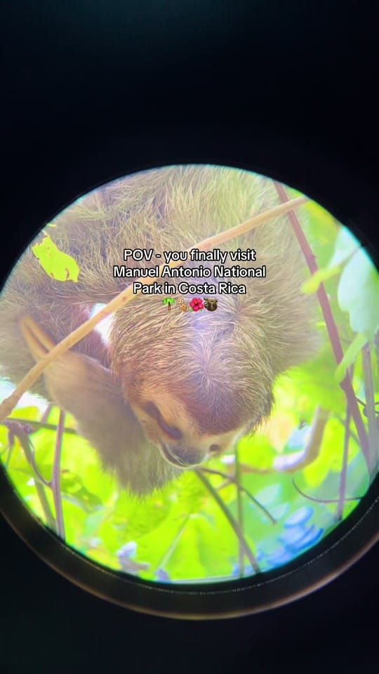 Post 7 by hptraveldiaries on TikTok (video)