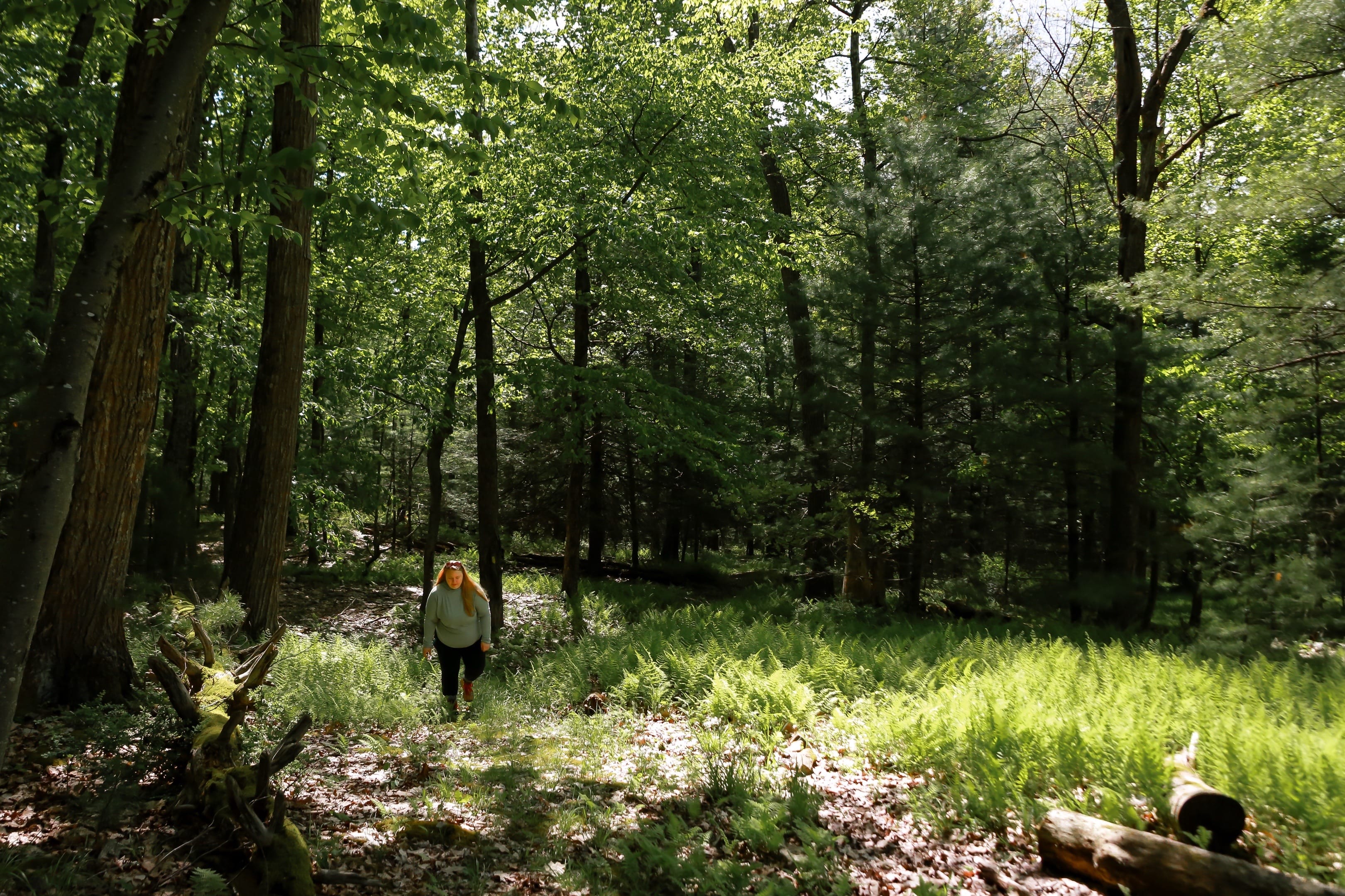 Post 3 by Michele | Sustainable Travel🌿 on TikTok (video)