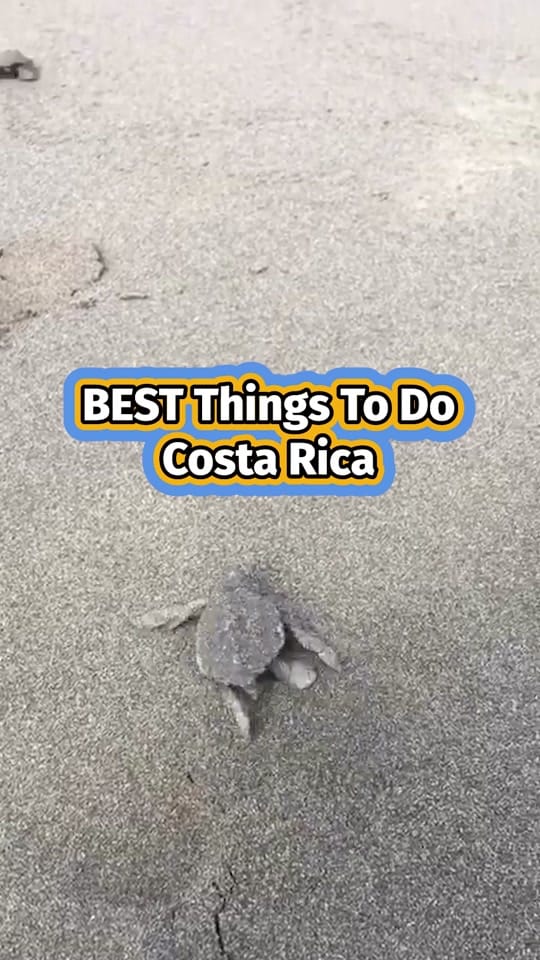 Post 4 by Emma in Costa Rica on TikTok (video)