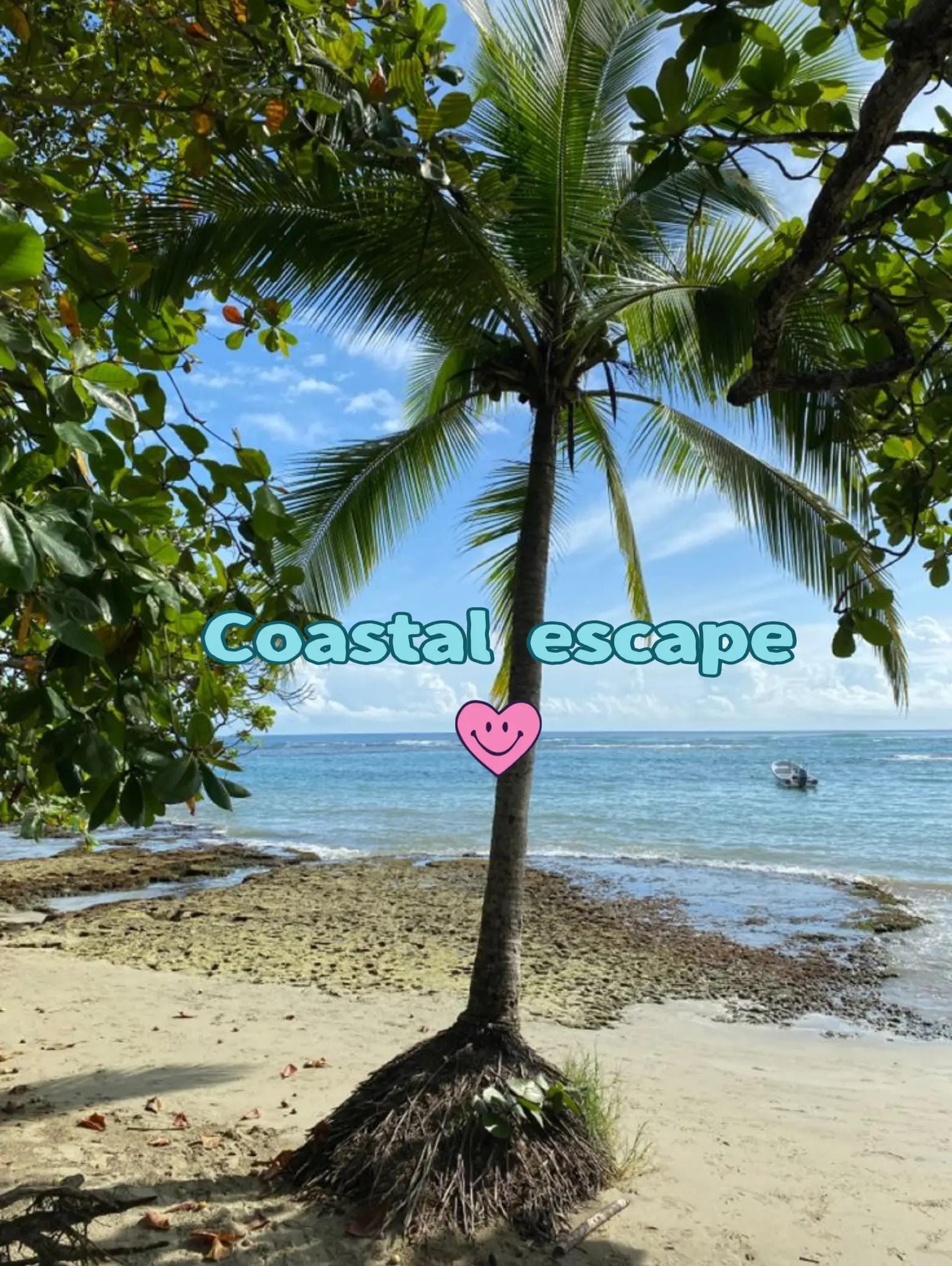 Post 4 by Nicole | PuraVida🌴Pathways on TikTok (video)
