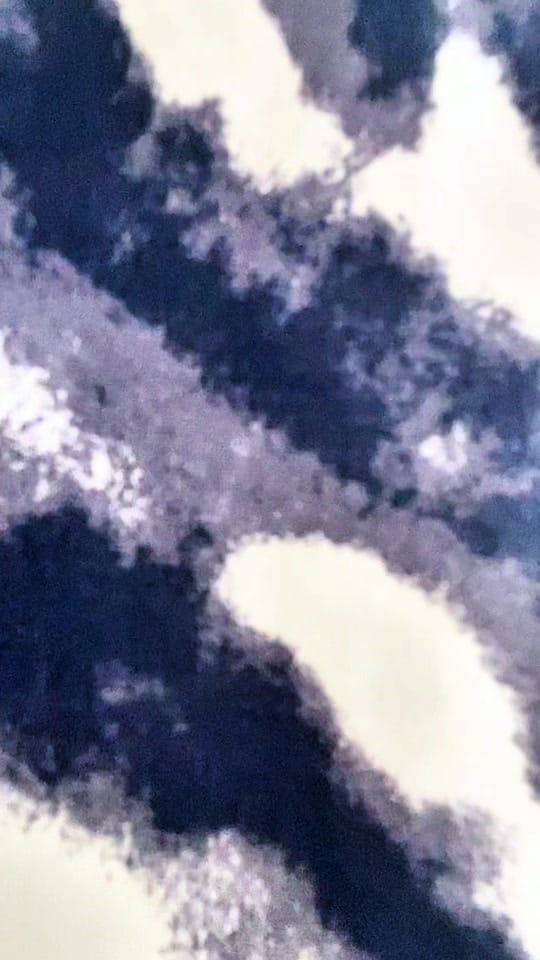 Post 7 by Lauri 🎈 on TikTok (video)