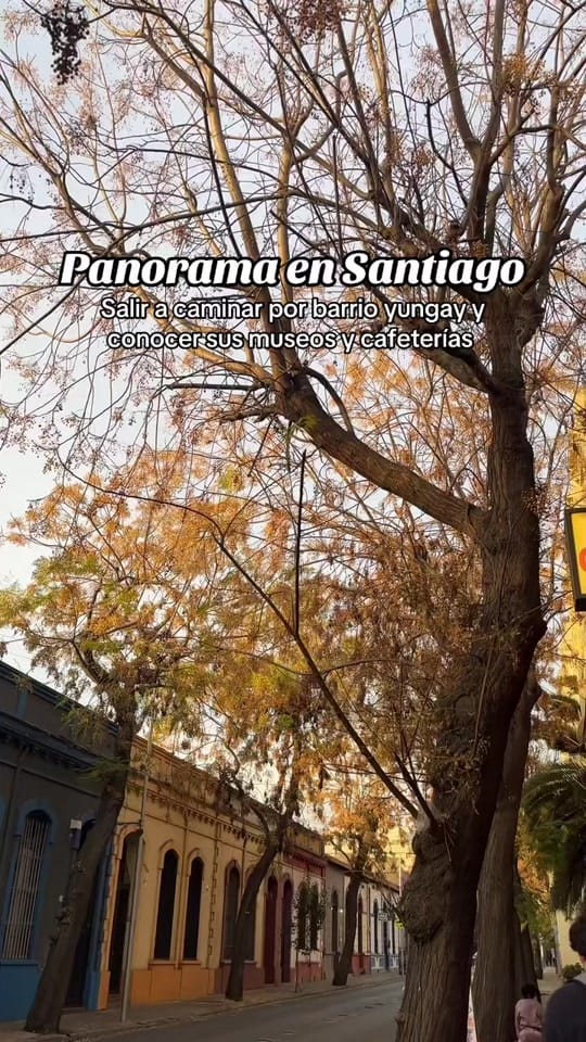 Post 5 by Tami Naranjo🍊| Panoramas ✿ ☻ on TikTok (video)