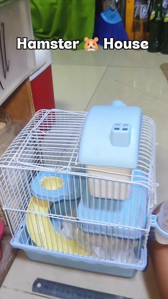 Post 7 by JuvitasVlog on TikTok (video)