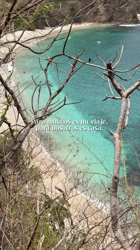 Post 6 by cynirish on TikTok (video)