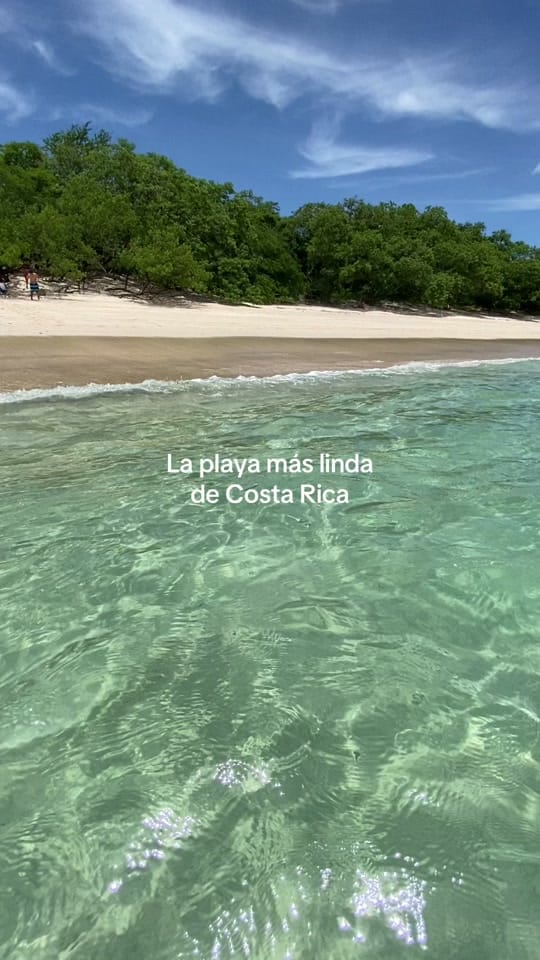 Post 9 by cynirish on TikTok (video)