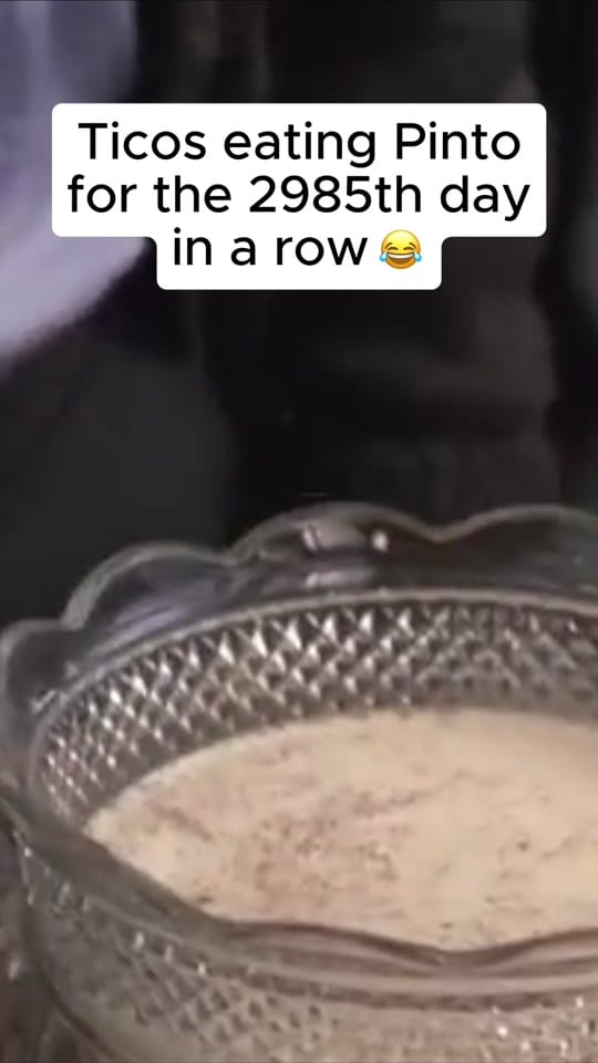Post 10 by Delayed Gratification on TikTok (video)