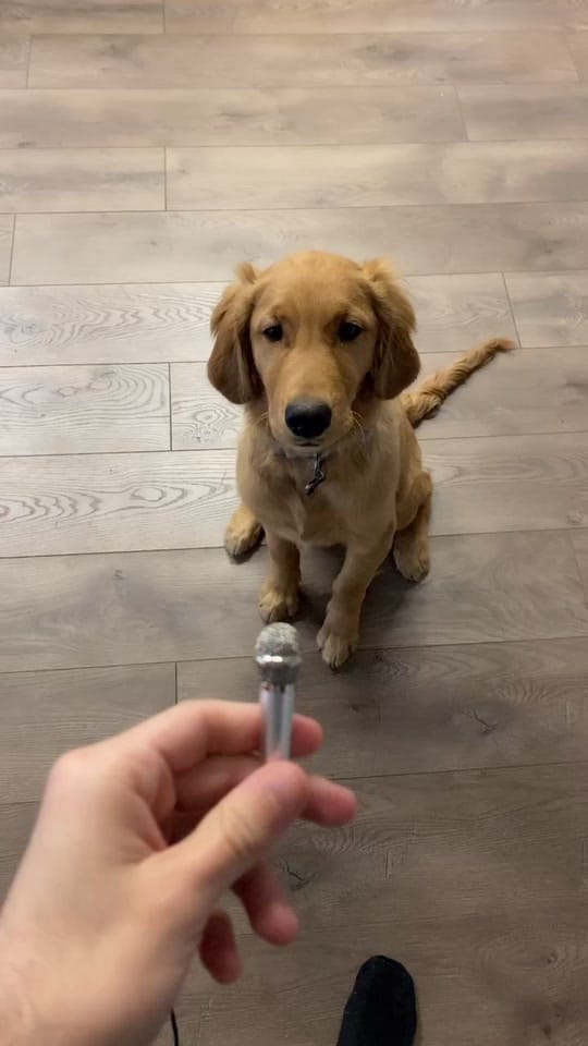Post 10 by Roberto Martinez on TikTok (video)