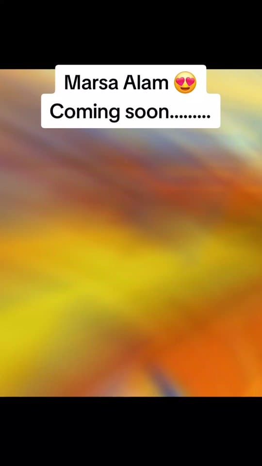 Post 4 by Partyamo.com on TikTok (video)